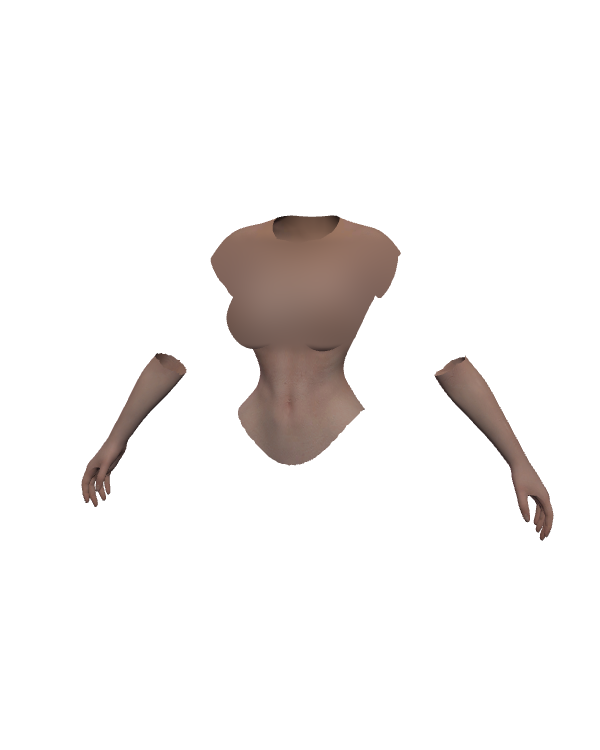 Female Body Top 013