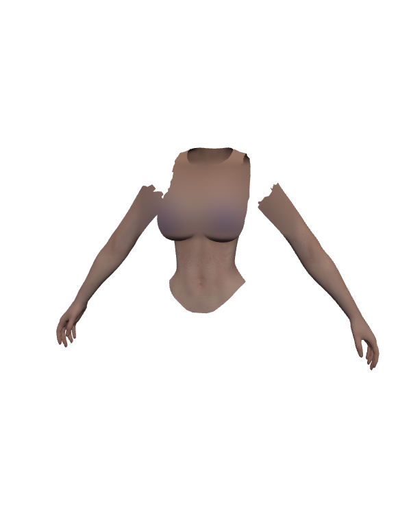 Female Body Top 009