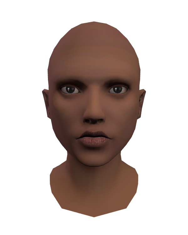 Male Face 011 Arab
