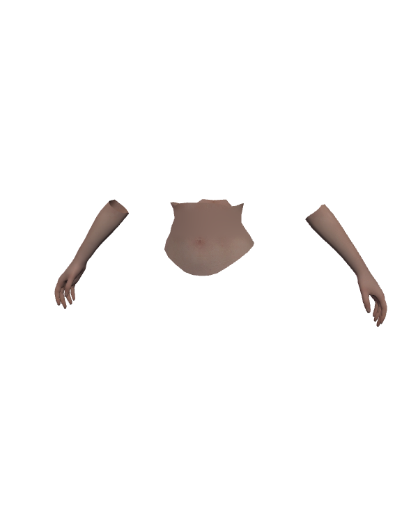 Female Body Top 026