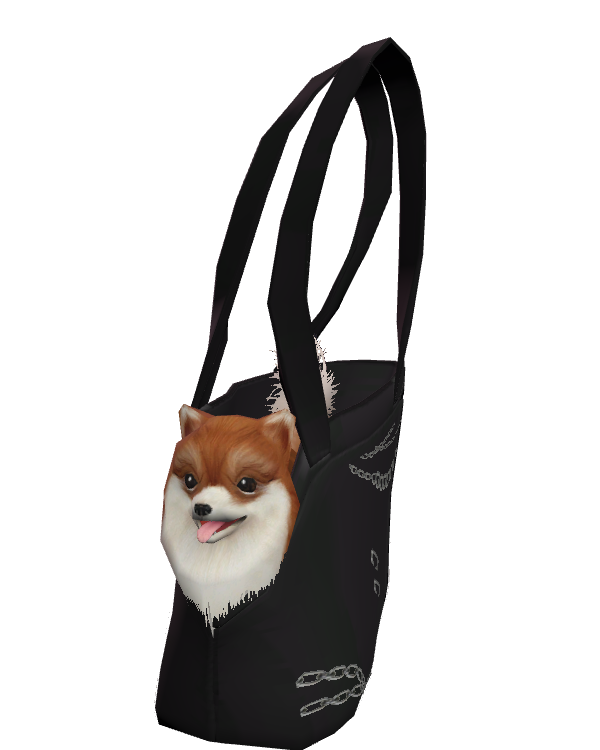 Female Bag 001