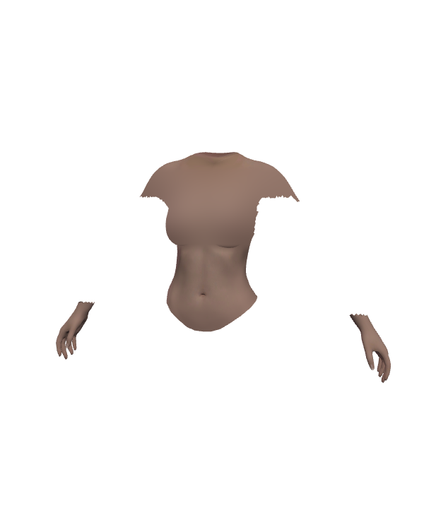 Female Body Top 031