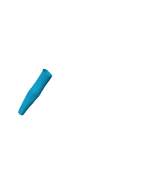 Female Sleeve 010