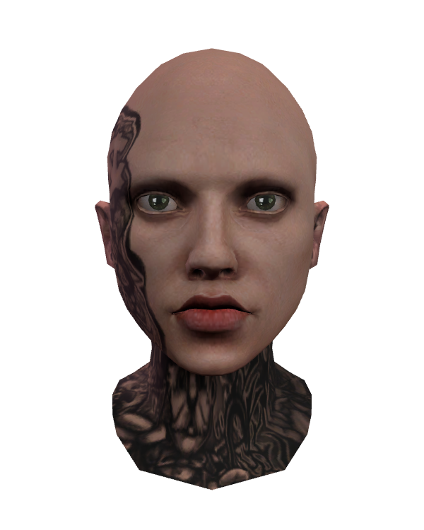 Male Face 045 White