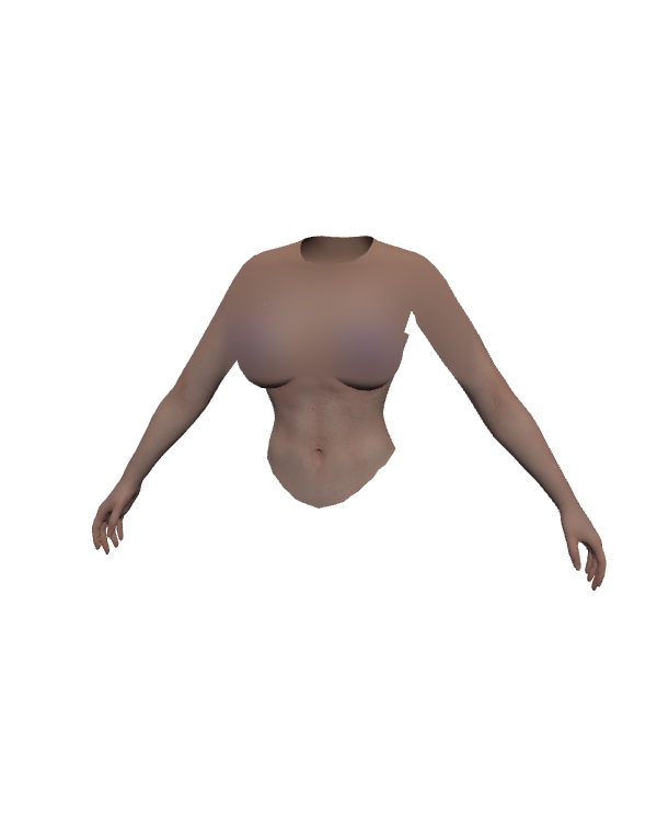 Female Body Top 019