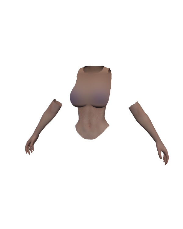 Female Body Top 010