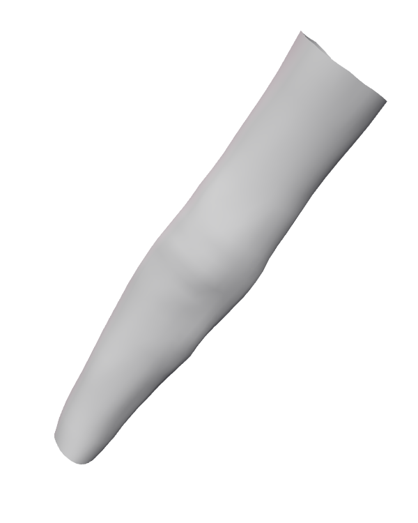 Female Sleeve 006