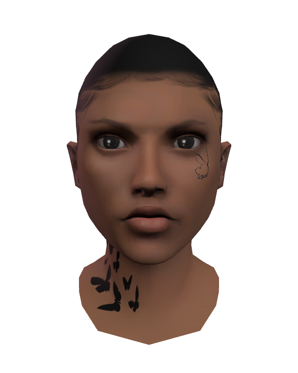 Female Face 011 Arab