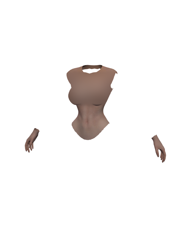 Female Body Top 002
