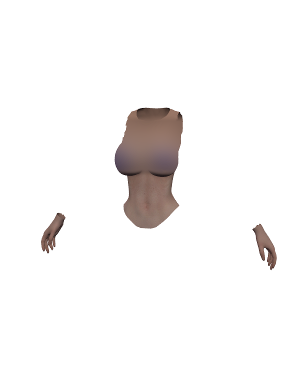 Female Body Top 011