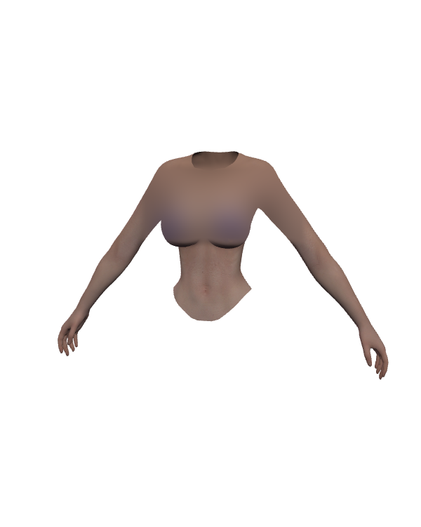 Female Body Top 008