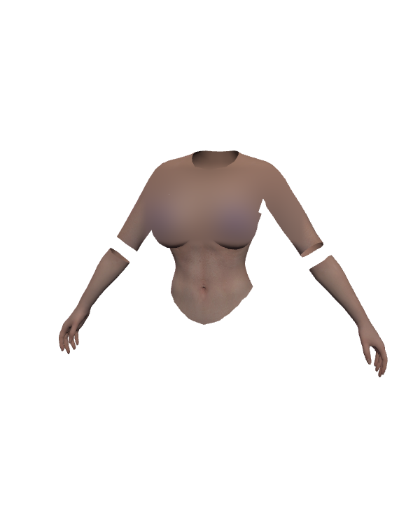 Female Body Top 021