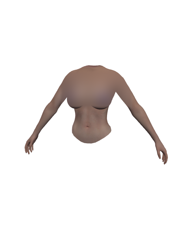 Female Body Top 024